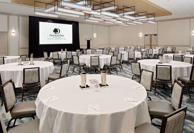 فندق Doubletree By Hilton  Chicago  Magnificent Mile
