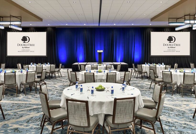 فندق Doubletree By Hilton  Chicago  Magnificent Mile