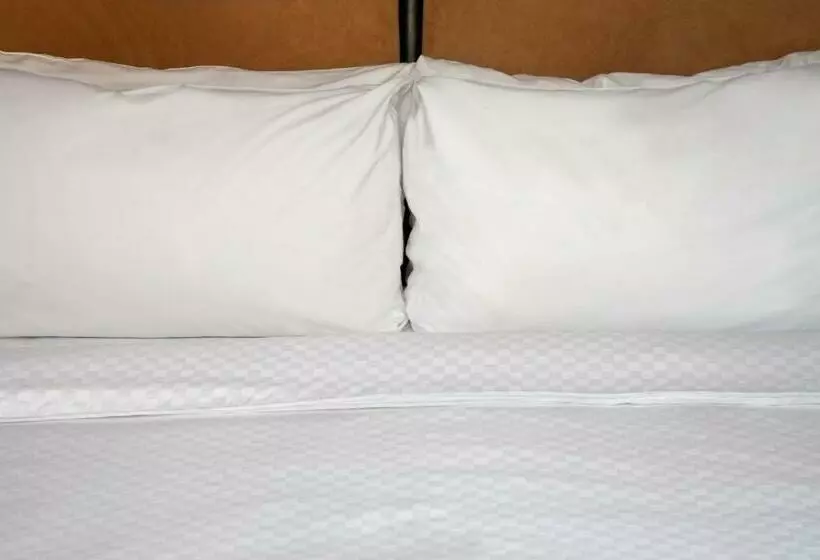 فندق Four Points By Sheraton Phoenix North