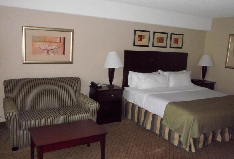 בית מלון כפרי Holiday Inn Johnstown Downtown, An Ihg