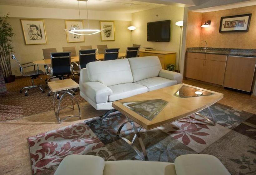 בית מלון כפרי Holiday Inn Johnstown Downtown, An Ihg