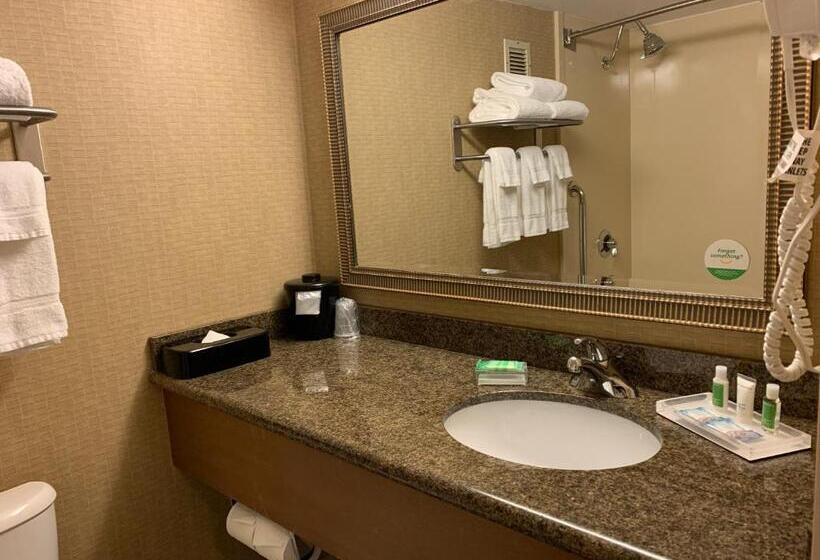 בית מלון כפרי Holiday Inn Johnstown Downtown, An Ihg