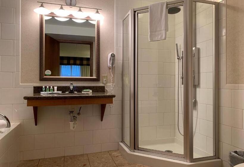 בית מלון כפרי Holiday Inn Johnstown Downtown, An Ihg