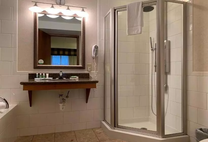 Otel Holiday Inn Johnstown Downtown, An Ihg