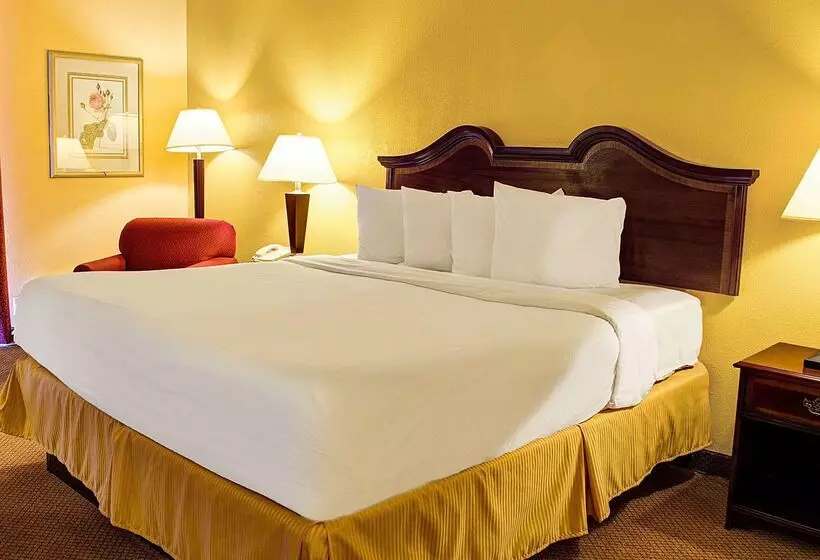 호텔 Quality Inn North