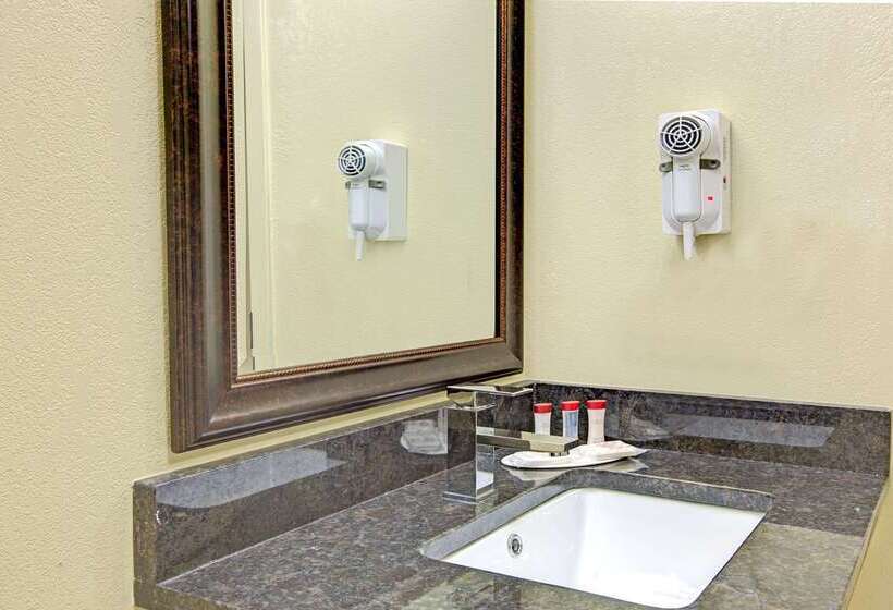 هتل Ramada Plaza By Wyndham Charlotte South End Airport