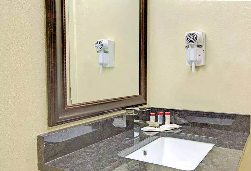 ホテル Ramada Plaza By Wyndham Charlotte South End Airport