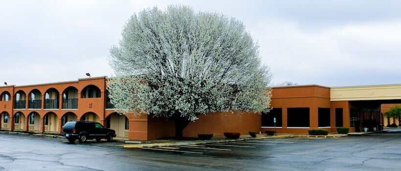 בית מלון כפרי Suite Dreams