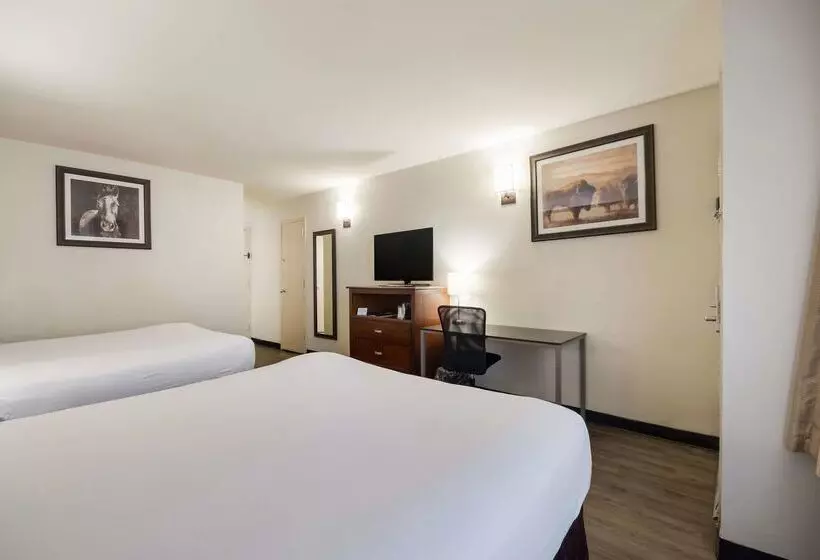 Surestay Plus Hotel By Best Western Lawton