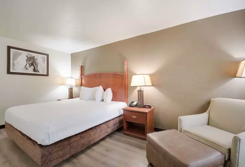 Surestay Plus Hotel By Best Western Lawton