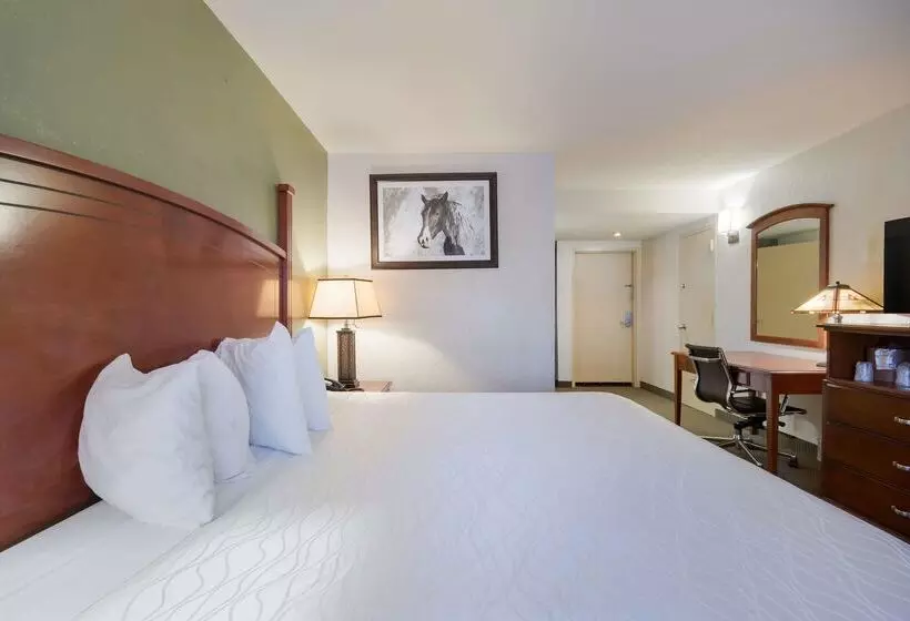 Surestay Plus Hotel By Best Western Lawton