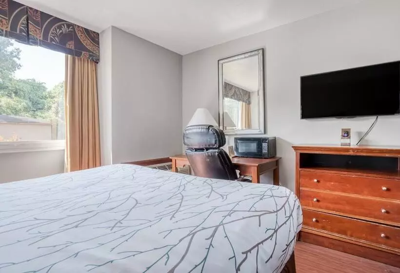 Oyo Hotel Memphis Tn I-40