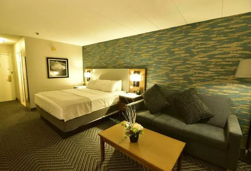 Radisson Hotel Niagara Fallsgrand Island