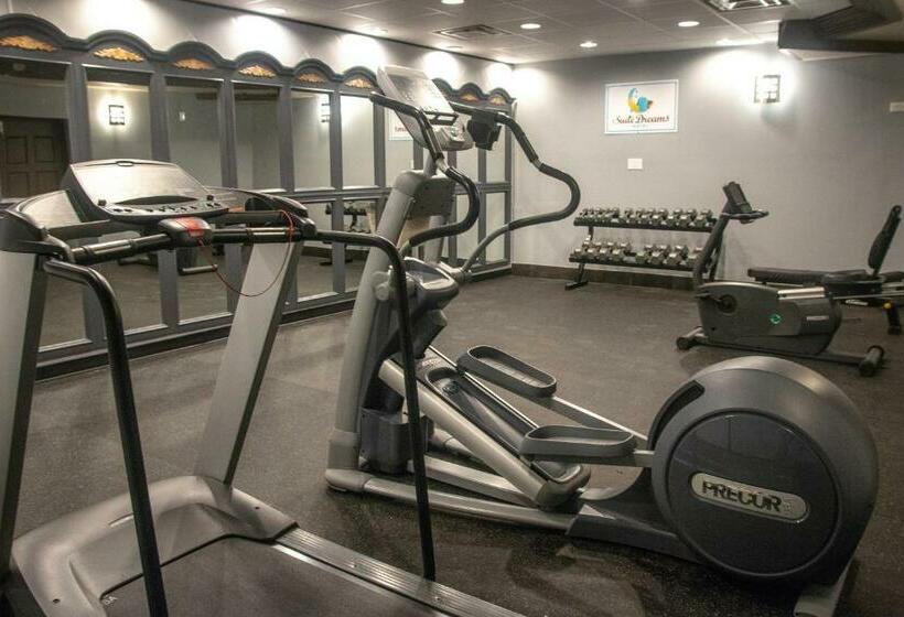 בית מלון כפרי Suite Dreams