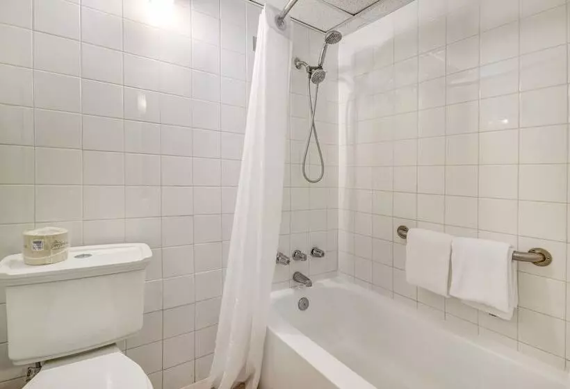 Отель Key Largo Inn