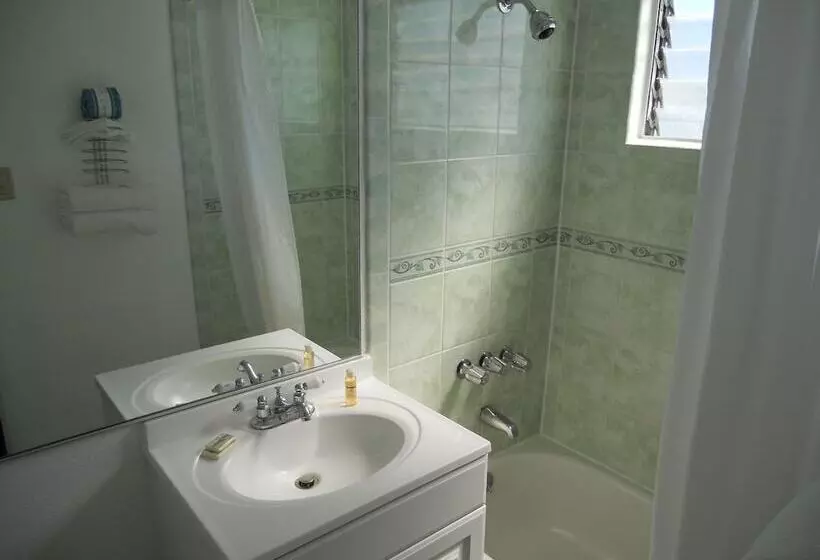 호텔 La Adventurer