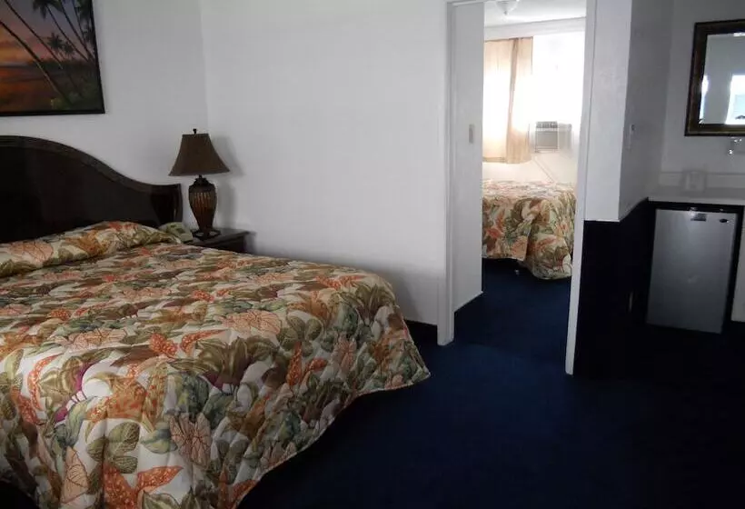 호텔 La Adventurer