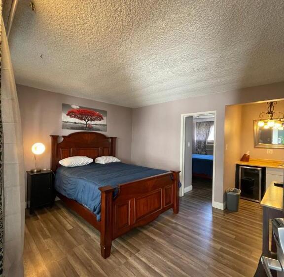 هتل La Adventurer