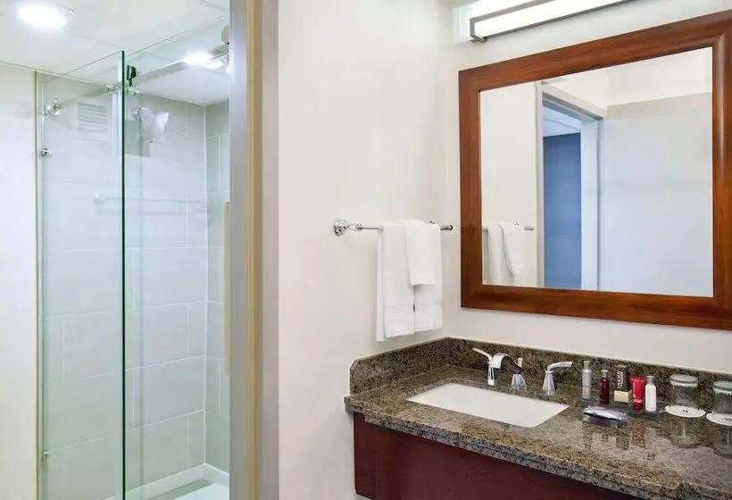 ホテル Marriott Park Ridge