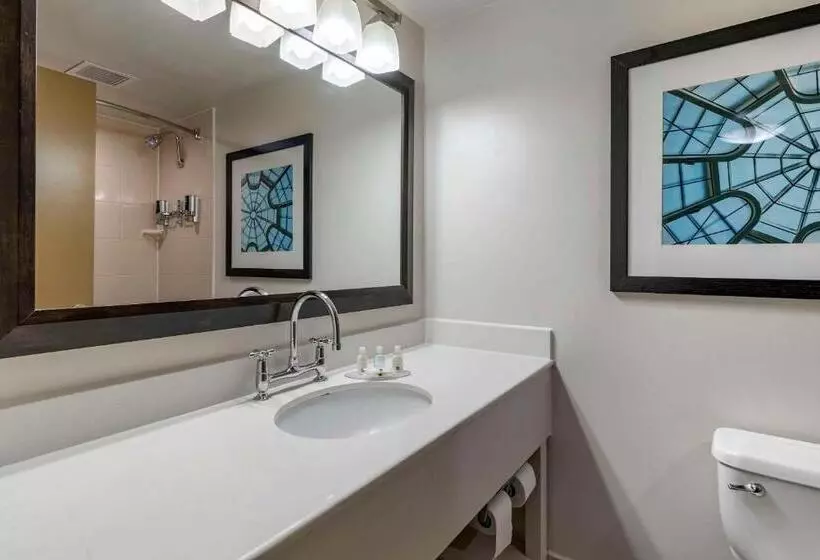 酒店 Quality Inn Lexington Horse Park