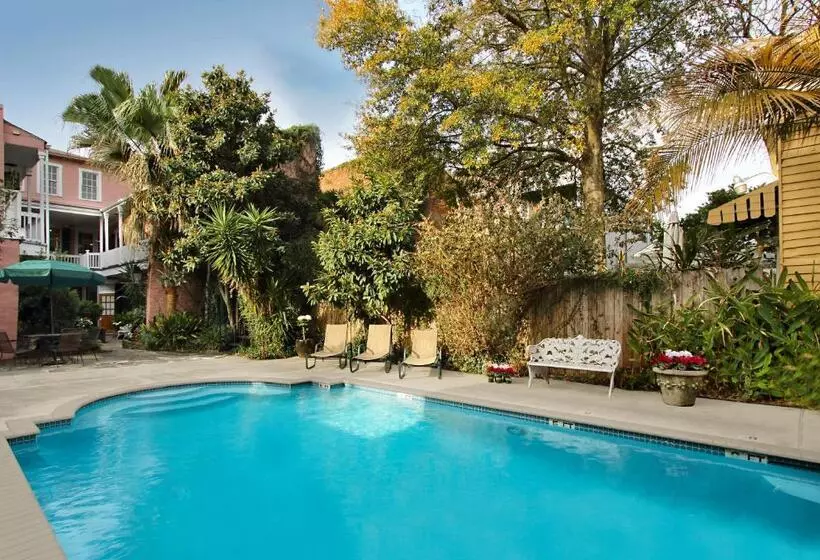 Lamothe House Hotel A French Quarter Guest Houses Property