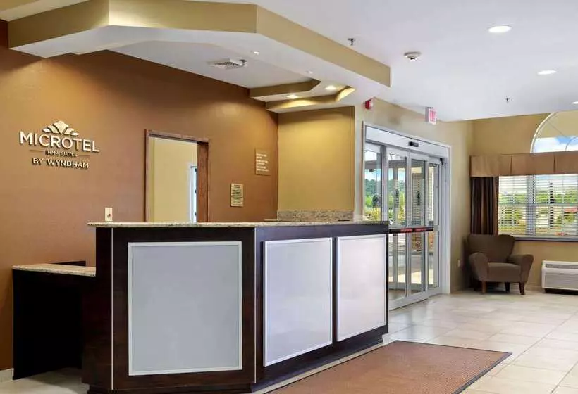 Microtel Inn & Suites By Wyndham Marietta