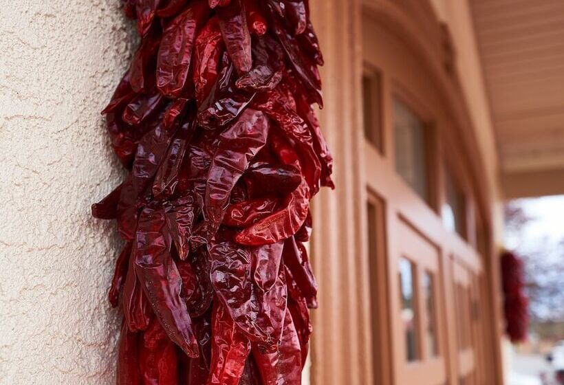 فندق San Mateo Inn