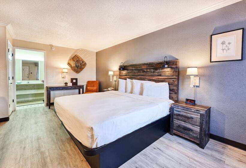 فندق San Mateo Inn