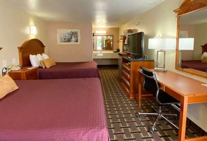 Motel Knights Inn Punta Gorda