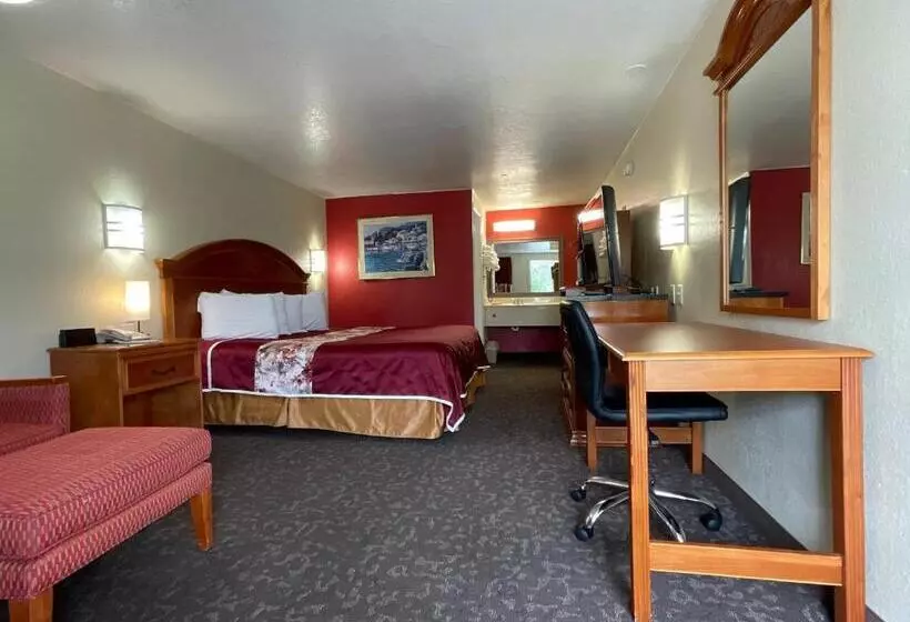 Motel Knights Inn Punta Gorda