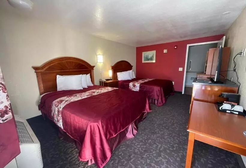 Motel Knights Inn Punta Gorda