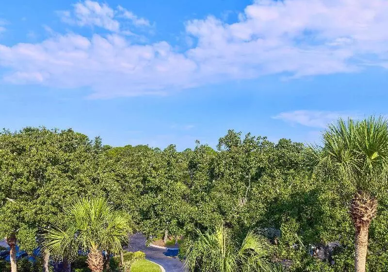 Sonesta Resort Hilton Head Island