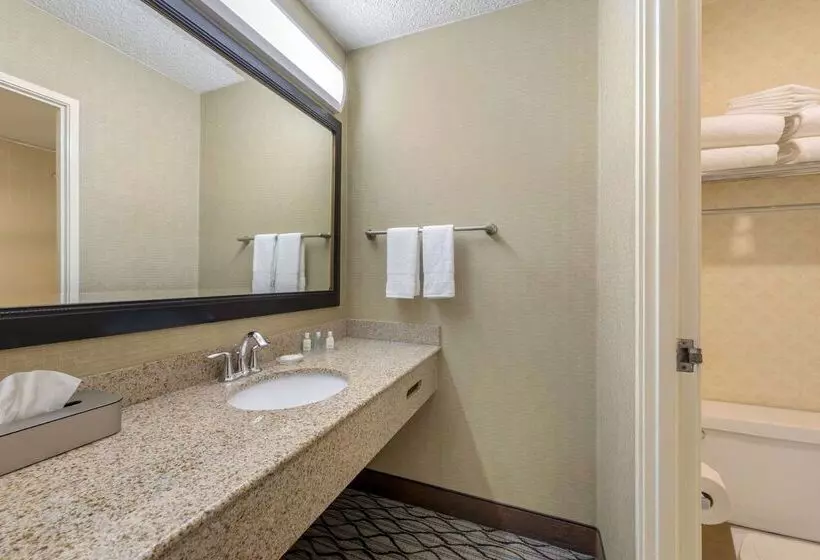 Clarion Hotel Anaheim Resort