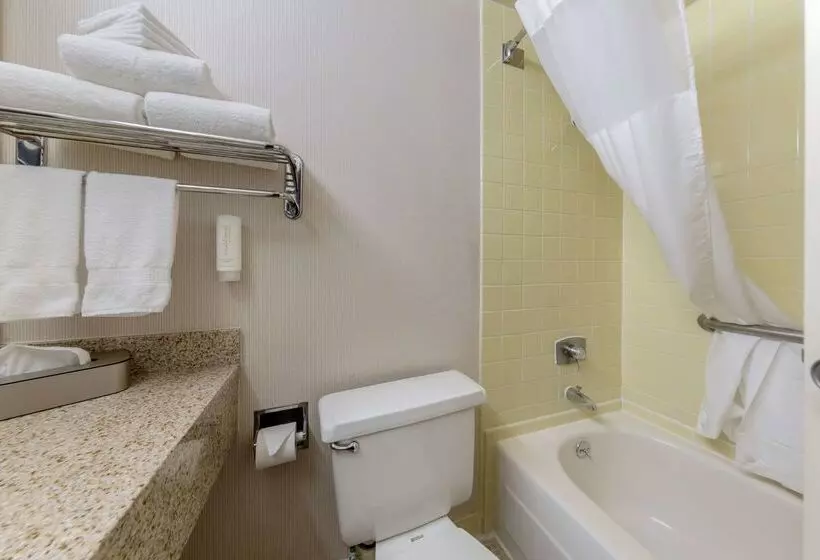 Clarion Hotel Anaheim Resort