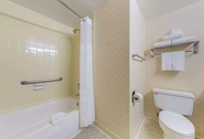 Clarion Hotel Anaheim Resort