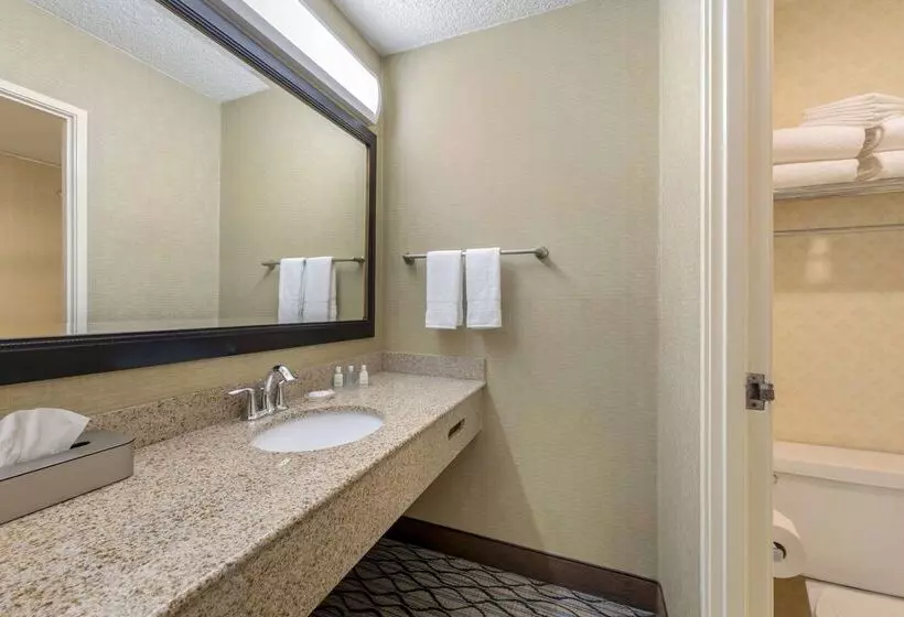 Clarion Hotel Anaheim Resort