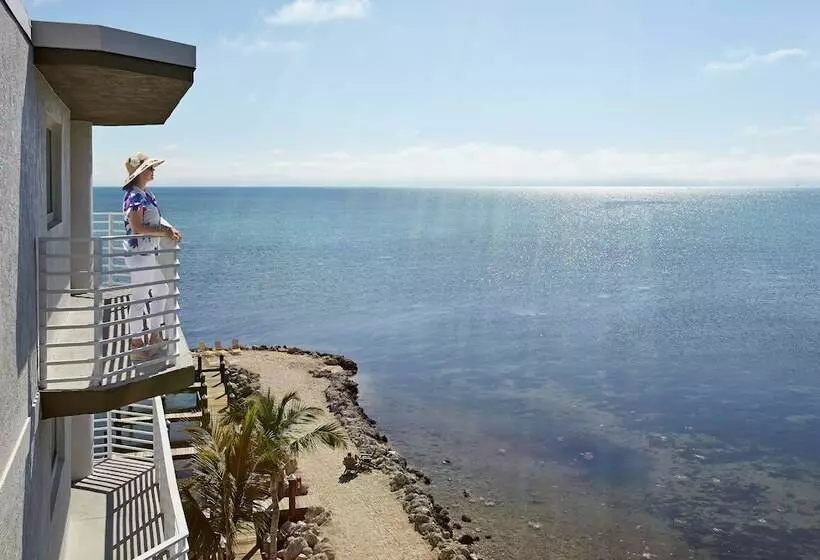 Hadley Resort And Marina