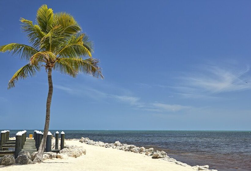 Hadley Resort And Marina