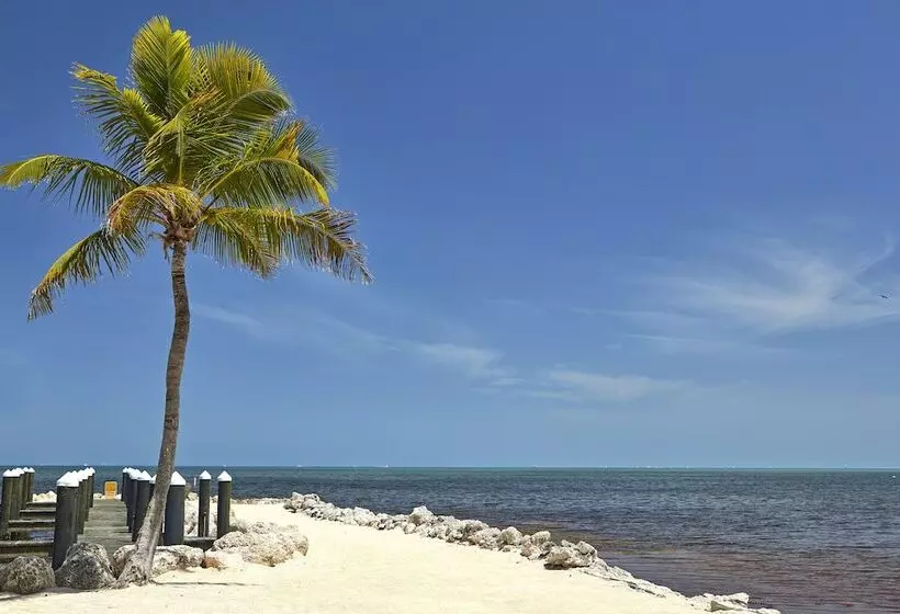 Hadley Resort And Marina