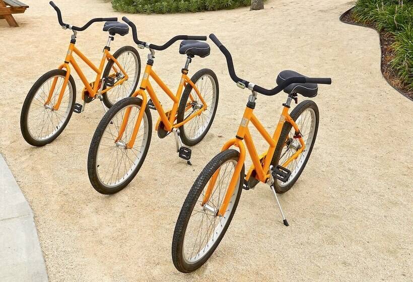 Hadley Resort And Marina