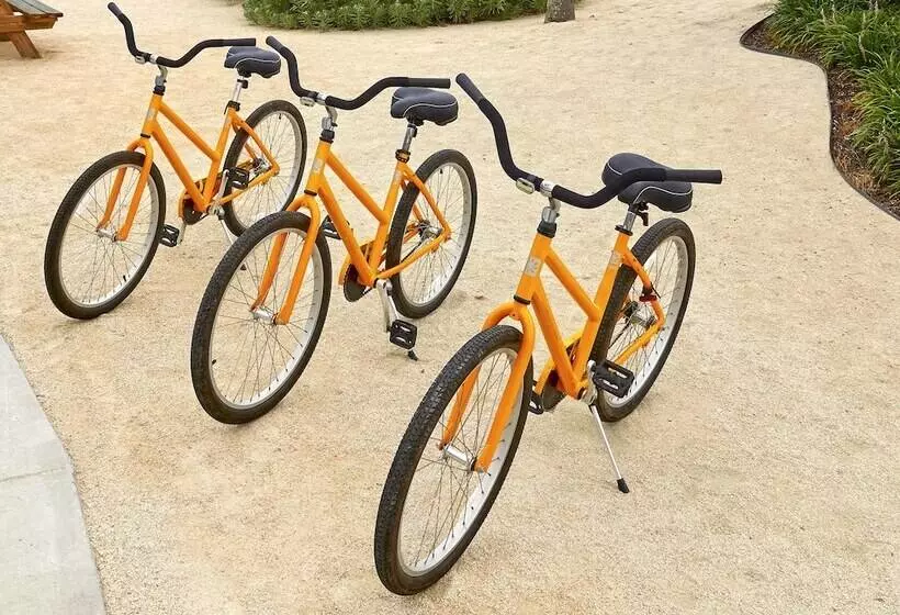 Hadley Resort And Marina