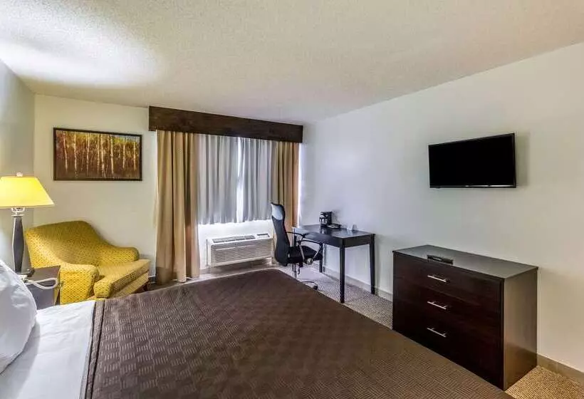 Hotel Clarion Inn Near Mcallen Airport