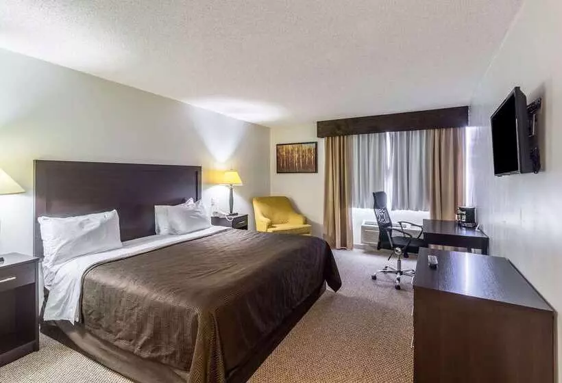 Szálloda Clarion Inn Near Mcallen Airport