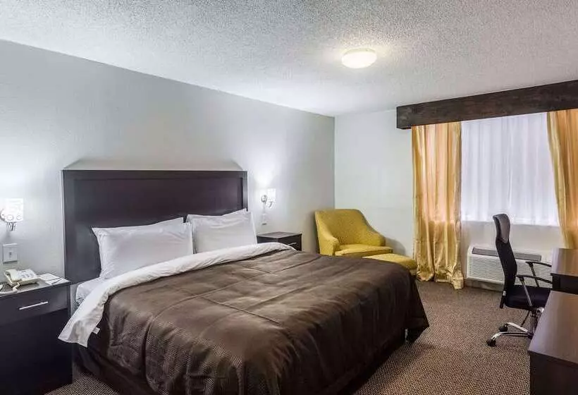 Hotel Clarion Inn Near Mcallen Airport
