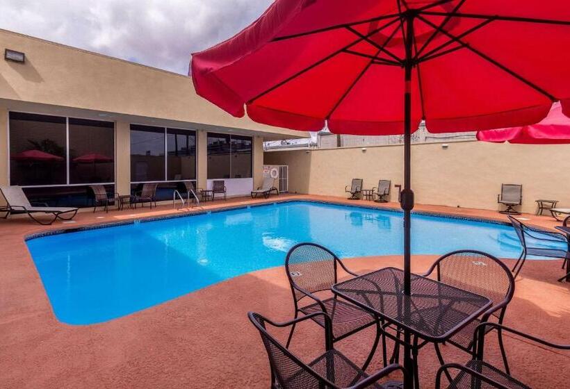 ホテル Clarion Inn Near Mcallen Airport