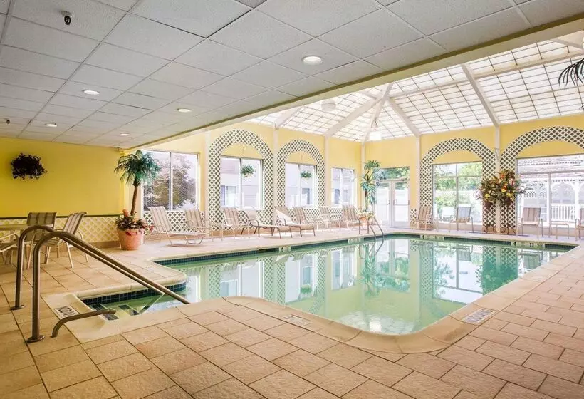 ホテル Comfort Inn & Suites