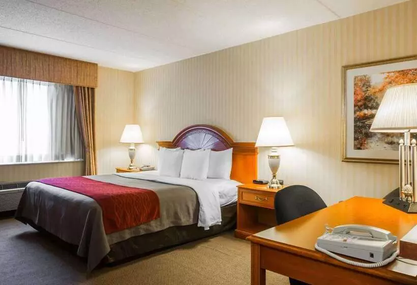 ホテル Comfort Inn & Suites