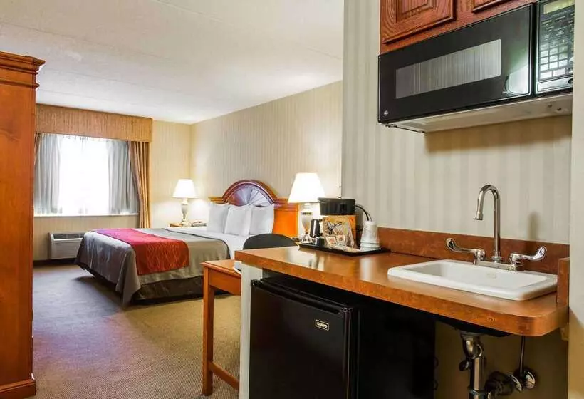 ホテル Comfort Inn & Suites