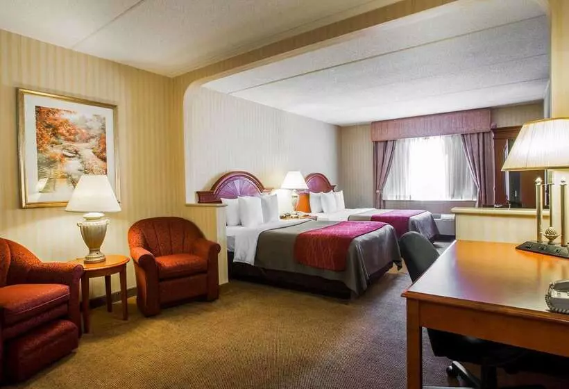 ホテル Comfort Inn & Suites