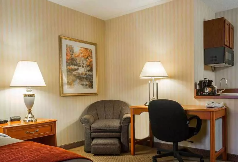 ホテル Comfort Inn & Suites